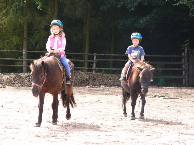 Asi u� to chce v�t�� kon�.