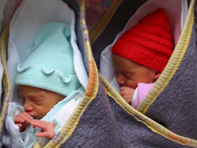 Slun��ka po 4 dnech �ivota.